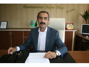 Fındığın Maliyeti 4 Lira 84 Kuruş