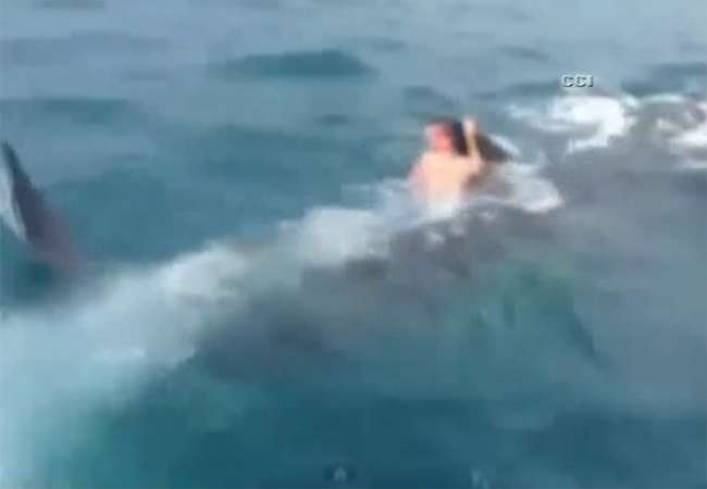 Köpek Balığıyla Böyle Yüzdü