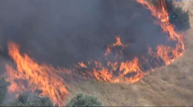 Orman Yangını Büyüyor