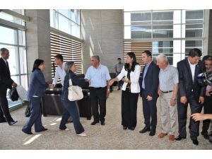 Kışanak: Çözüm Süreciyle İlgili Şu Ana Kadar Hiçbir Adım Atılmış Değil