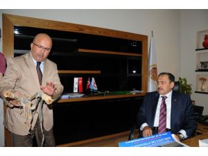 Orman Ve Su İşleri Bakanı Prof. Dr. Veysel Eroğlu Afyonkarahisar Programına Esnaf Ziyareti İle Devam Etti