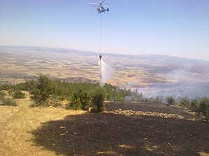 Kahramanmaraşta Orman Yangını  