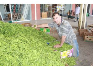 Turfanda Sebzeler Halde Yerini Aldı