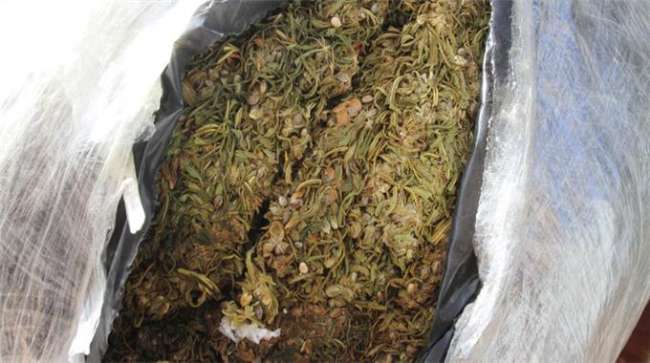 Uyuşturucu Operasyonunda 4 Kişi Tutuklandı