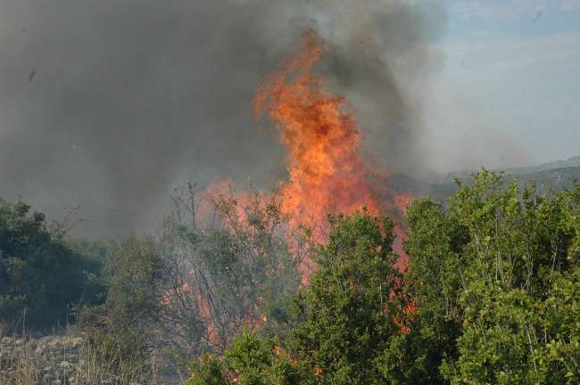 10 Hektarlık Çalılık Alan Kül Oldu