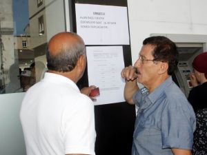 Fındık Üreticilerine Alan Bazlı Gelir Desteği Ödemeleri Başladı