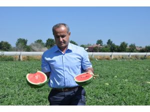 Kara Karpuz, Üreticinin Yüzünü Ak Etti