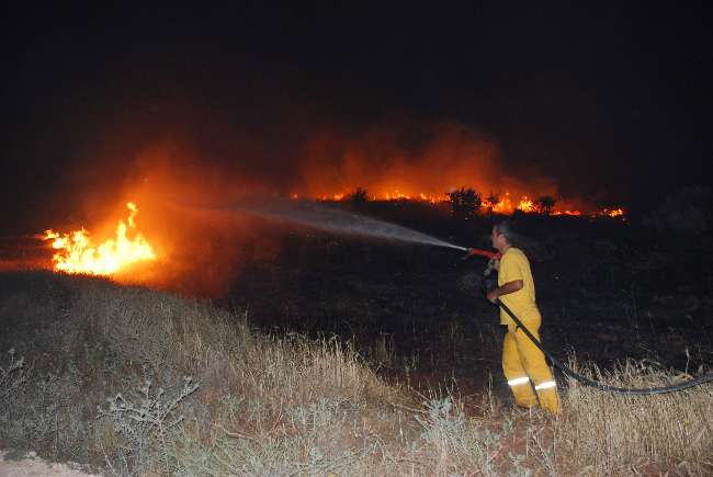 Ormanlık Alan Yeniden Alevlere Teslim