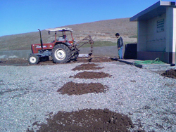 Öğrenci sayısınca fidan dikildi. 