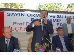 Bakan Eroğlu, Havadan Orman Sahalarını İnceledi