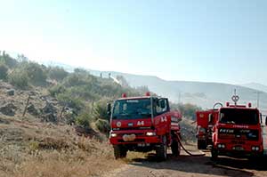 Kahramanmaraşta Orman Yangını