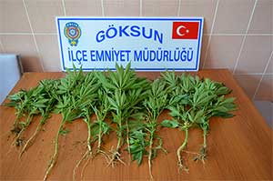 Kahramanmaraş’ta Uyuşturucu Operasyonları