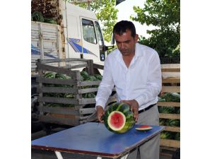 Karpuz Fiyatları Yükselecek