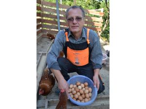 Avrupa’dan Döndü, Köy Tavukçuluğuna Başladı