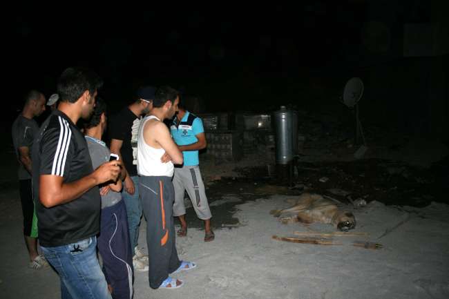 Kangal 6 Kişiyi Isırdı