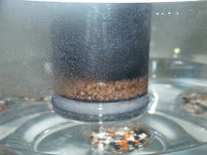 Sağlığınıza Kavuşma Vakti Geldi