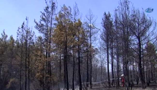 İstanbul’da Korkutan Yangın
