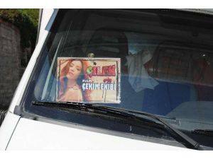 Azra Akın, Çilek Oldu