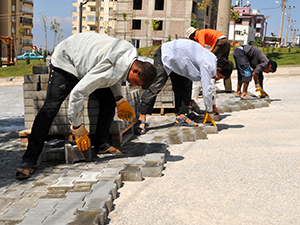 Parke Yol Döşemesi Dolu Dizgin