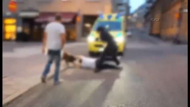 İsveç’te ’Kadın Polis’ Şiddeti