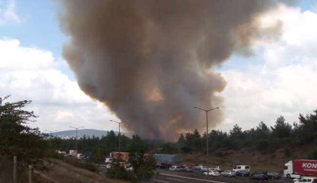 Beykoz’da Korkutan Yangın