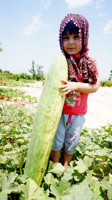 Bu Acur 1 Metre Uzunluğunda