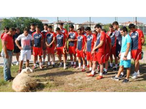 Spor Toto 2.lig