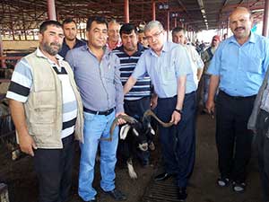 Güvenç Hayvan Pazarını Ziyaret Etti