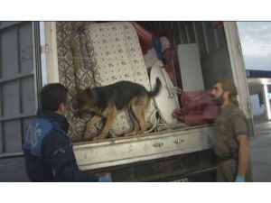 Uyuşturucu Nakli Arese Takıldı