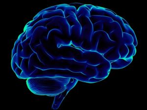 Zihinsel Hastalıkların Ortak Özellikleri Tespit Edildi