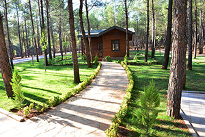 Başkan Poyraz Arslanbey Mesire Alanını İnceledi