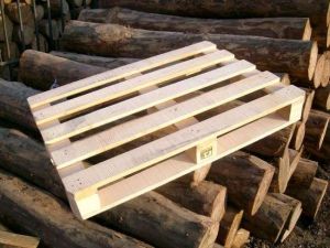 Ağaç İhracatı Arttı