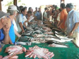 Ramazan’da Balık Fiyatları Düştü