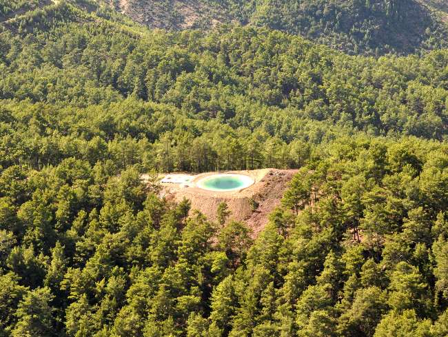 Ağaçlar Dikilirken Artık Hayvanlar Da Düşünülüyor