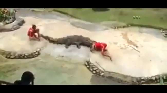 Şov Yapayım Derken Kafayı Kaptırıyordu