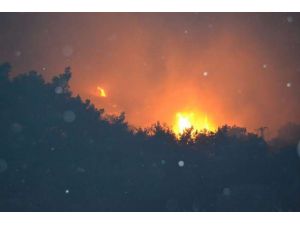 Üç Ayrı Noktada Yangın