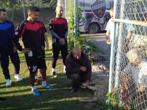 Spor Toto 2. Lig