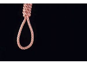 İstanbul’un Göbeğinde Ağaca Asılı Ceset Bulundu