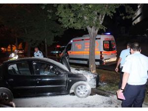 Kadın Ağaca, Erkek Araçlara Çarptı