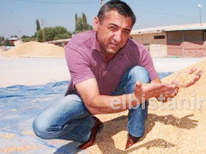 ‘Buğday, şu an arpa ile eşit’