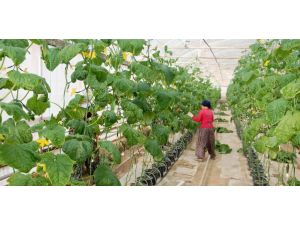 Simav Ekonomisini Seracılar Sırtladı