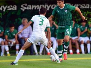 Timsah, Vojvodina’ya Bileniyor
