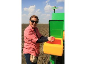 Mısır Üreticisi Tmo’dan Destekleme Alım Fiyatı Bekliyor