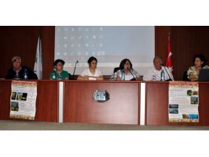 Kuru İncirde Aflatoksin Tehlikesi