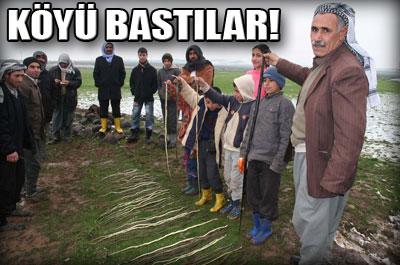 Yılanlar köyü bastı 