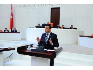 Ak Parti İzmir Milletvekili Hamza Dağ: