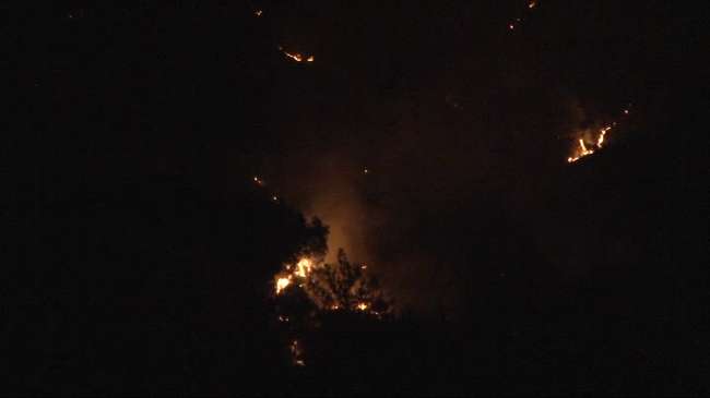 Türkiye Orman Yangınlarıyla Boğuşuyor