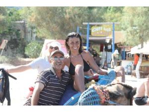 Ünlü Sanatçının Deve Keyfi