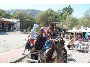 Yıldız Tilbe’nin Deve Keyfi