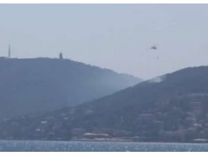 Büyükada’da Orman Yangını